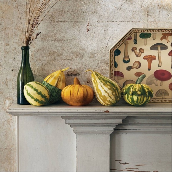 John Derian fabric gourds set of 5 piece set. - Picture 3 of 3